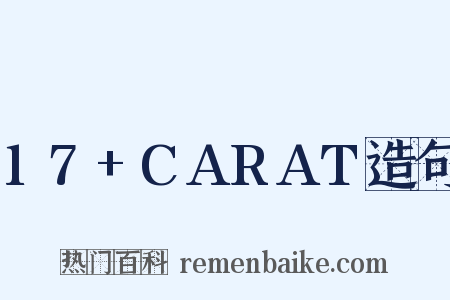 17+CARAT造句是什么意思的图片